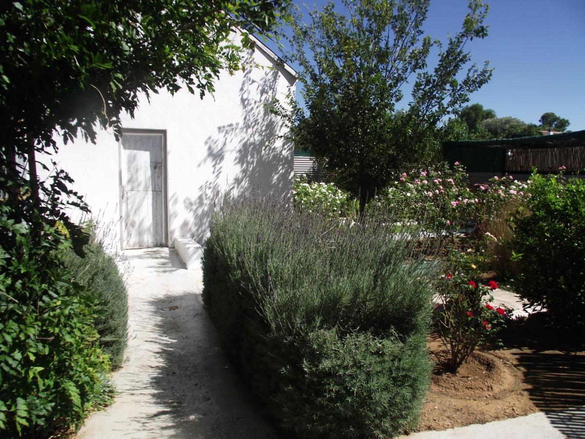 Lavender Rose Bed & Breakfast Bethulie Exterior photo